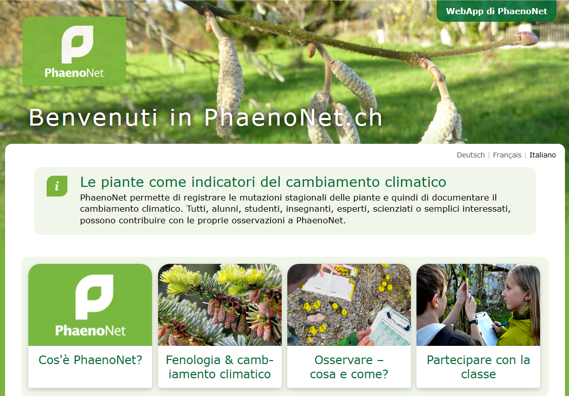  Sito web di PhaenoNet